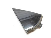 Rear door glass trim molding