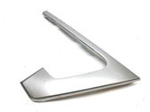 Other rear door trim element