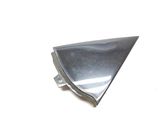 Rear door glass trim molding