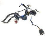 Front door wiring loom
