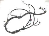 Rear door wiring loom