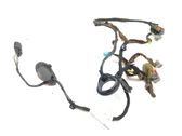 Rear door wiring loom