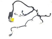 Rear door wiring loom