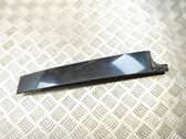 Rear door glass trim molding