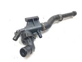 Thermostat/thermostat housing
