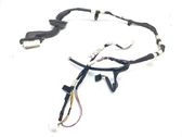 Rear door wiring loom