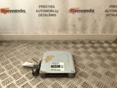 Engine control unit/module ECU