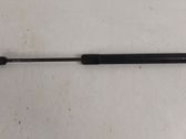 Tailgate/trunk strut/damper