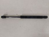 Front bonnet/hood damper/strut