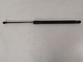 Tailgate/trunk strut/damper