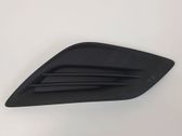 Front fog light trim/grill