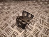 Передняя нижняя петля