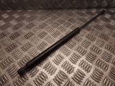 Tailgate/trunk strut/damper