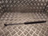 Tailgate/trunk strut/damper