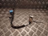 Other wiring loom