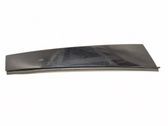 Rear door glass trim molding