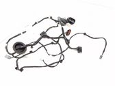 Rear door wiring loom