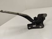 Bisagras del capó/tapa del motor