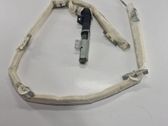 Roof airbag