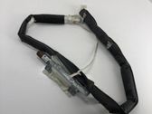 Roof airbag