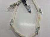 Roof airbag