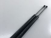 Tailgate/trunk strut/damper