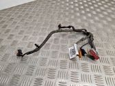 Other wiring loom
