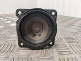 Panel speaker