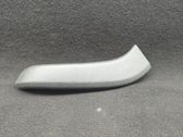 Other front door trim element