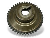 Corona de la cadena de distribución