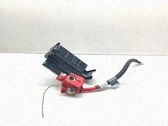 Positive wiring loom