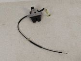 Tailgate/trunk/boot lock/catch/latch