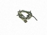 Cableado del sensor ABS trasero
