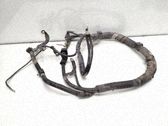 Cables (motor de arranque)