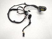 Rear door wiring loom