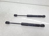 Tailgate/trunk strut/damper