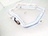 Roof airbag