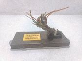 Steuergerät Lenksäule