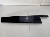 Rear door glass trim molding