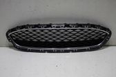 Front bumper upper radiator grill