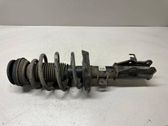 Front shock absorber/damper