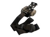 Rear seatbelt