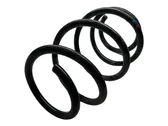 Front coil spring