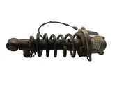 Rear shock absorber with coil spring