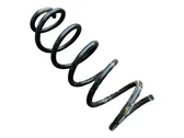 Rear coil spring