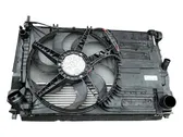 Electric radiator cooling fan