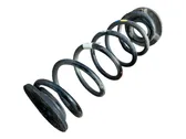 Rear coil spring