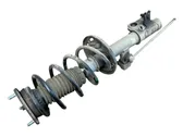 Rear shock absorber with coil spring
