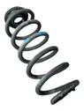 Rear coil spring