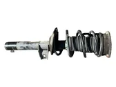 Front shock absorber/damper